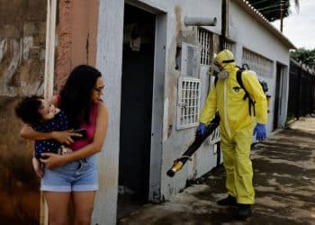 dengue hemorrágica, febre hemorrágica da dengue