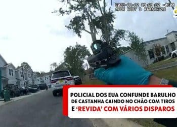 agente da lei, membro das forças de segurança