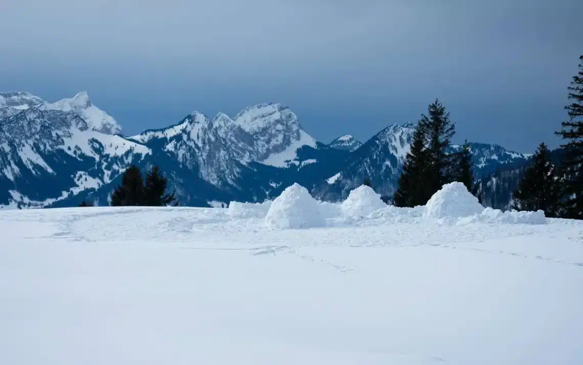 frio, gelado, gélido, baixo-querimento, nevado;