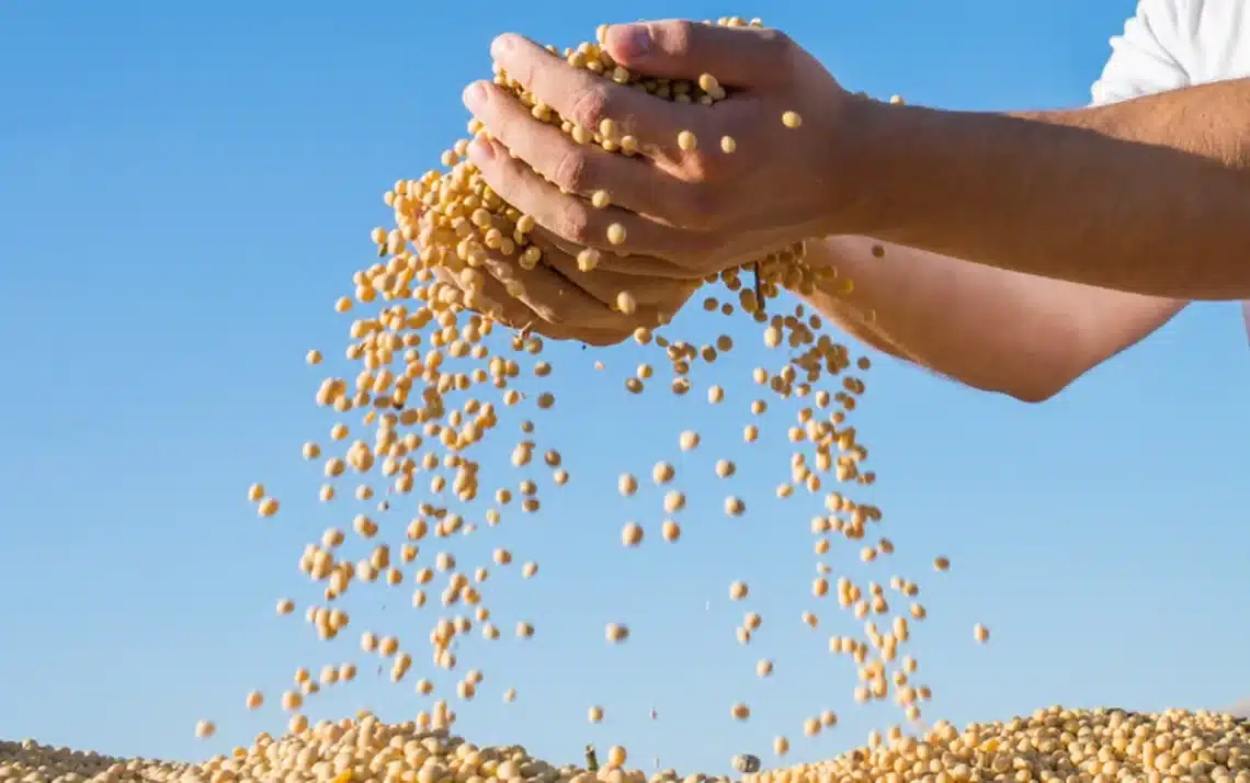 Empresa Agroindustrial, Mato Grosso, Empresa Agrícola, Telecomunicações, Cobertura de Rede;