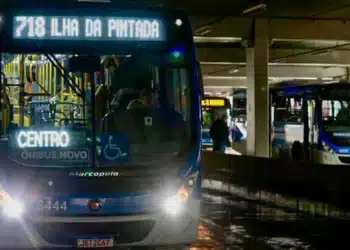 ônibus, mobilidade urbana, linhas, de ônibus;