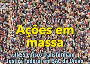 publicação, revista, guia;