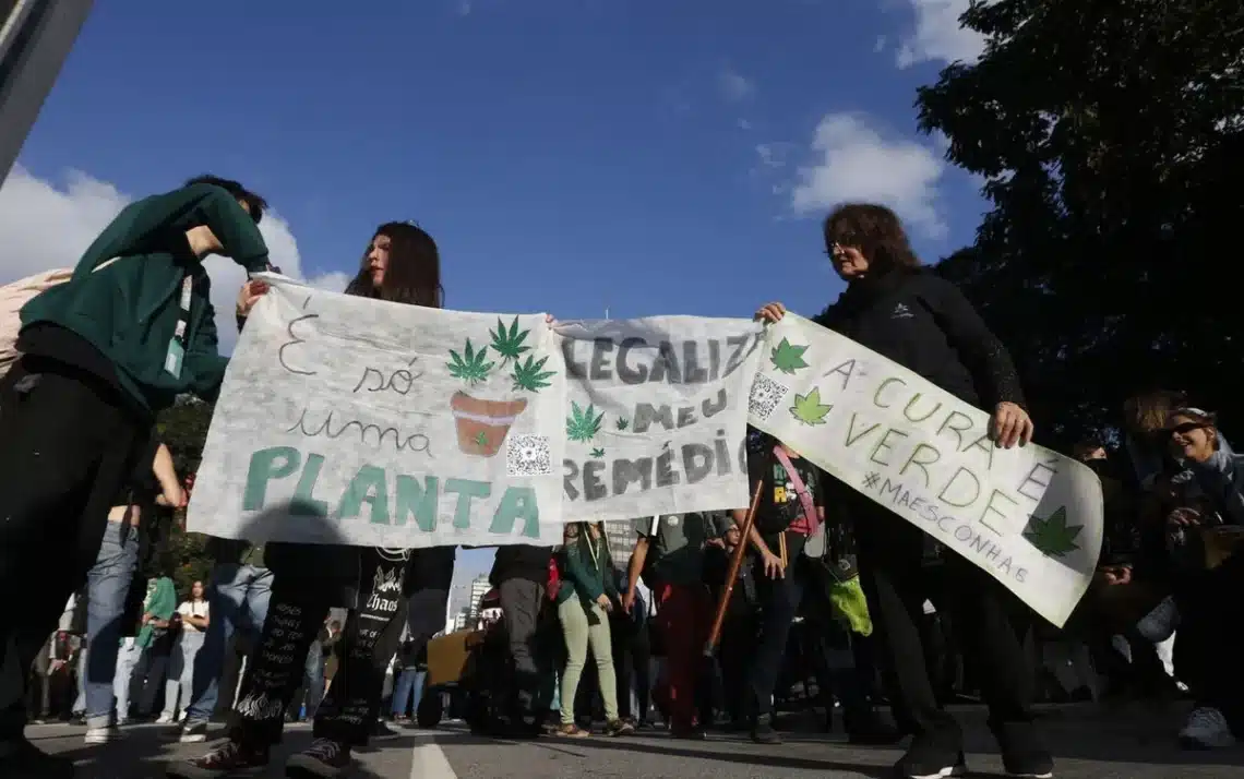 cannabis, erva, marihuana, daninha;