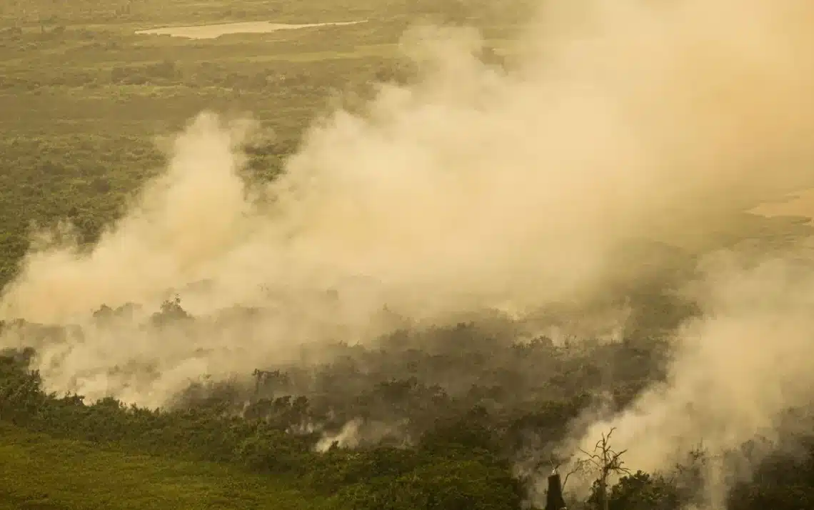 queimadas, focos, fogos, cicatrizes;