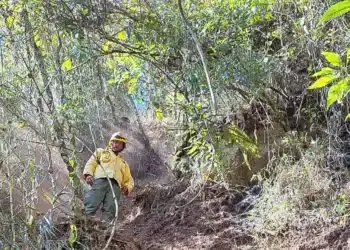 queimada, fogo;