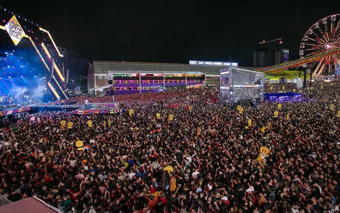 festa, junina, festança, juninas, festividades;