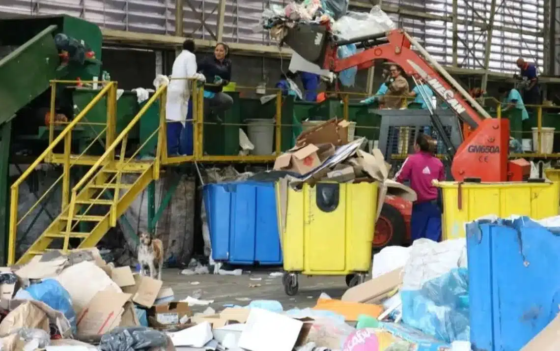 cooperativas, de reciclagem, categoria;