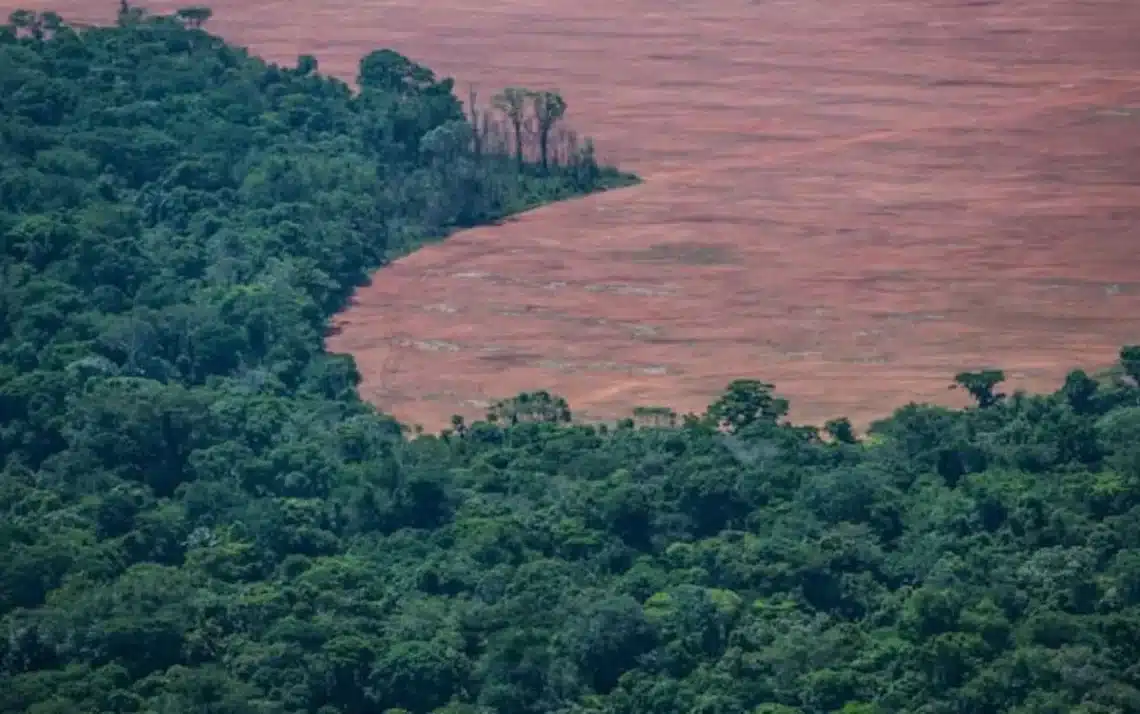 devastação, destruição, ambiental, desmate;