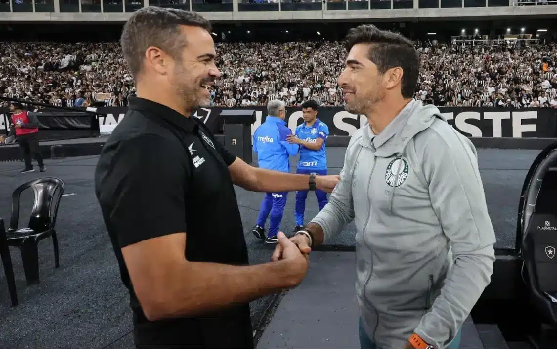 técnico, Palmeiras