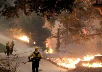 queimadas, focos-de-incêndio, chamas-de-incêndio