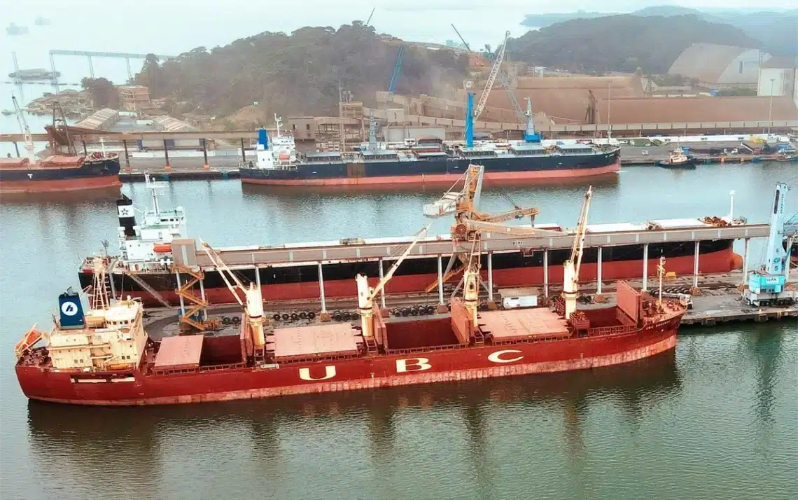 Porto de São Francisco do Sul, terminal marítimo, porto catarinense