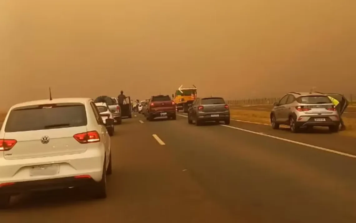 queimadas, chamas, focos, de incêndio