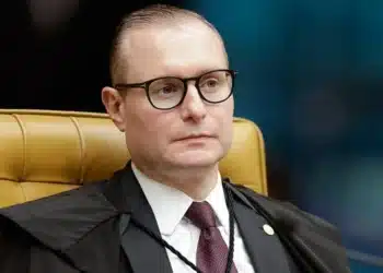 advogado, representante, por profissional capacitado, assistência, de advogado