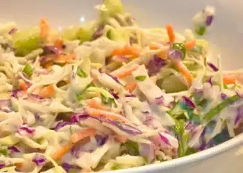 Salada, de repolho, americana, Coleslaw