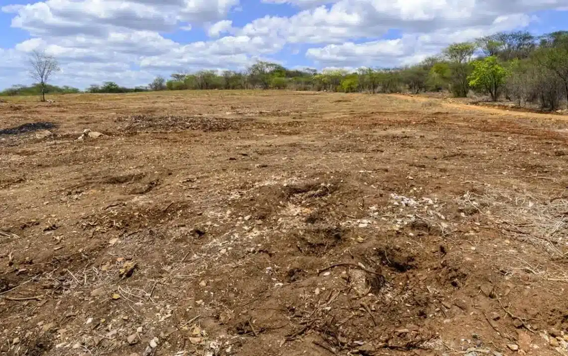 degradação, desertificação;