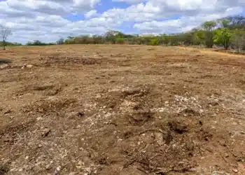 degradação, desertificação;