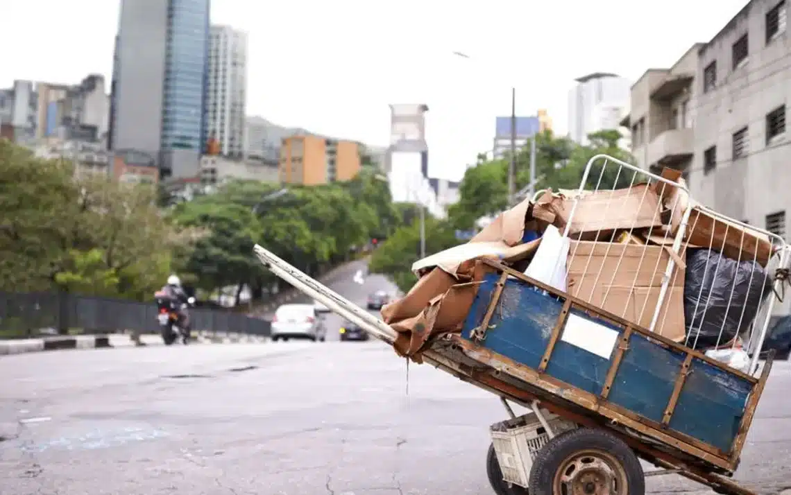 catadores, trabalhadores, da coleta, de material, reciclável, geradores, de resíduos, responsáveis, pela reciclagem; ;