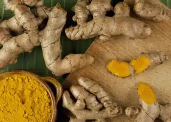 açafrão-da-terra, curcuma, raiz dourada;