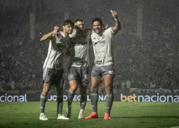 Camisa, galo, meia, Scarpa;