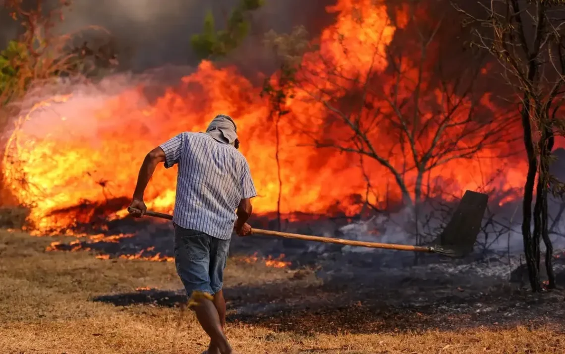 incêndios florestais, queimadas, incêndios florestais no Brasil, queimadas no Brasil';