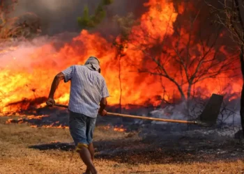 incêndios florestais, queimadas, incêndios florestais no Brasil, queimadas no Brasil';