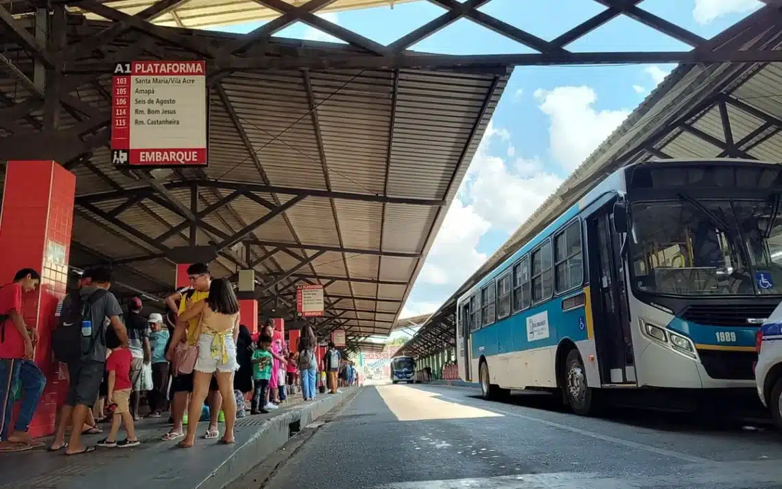 veículos, ônibus, transporte, coletivo;