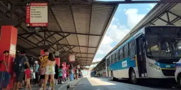 veículos, ônibus, transporte, coletivo;