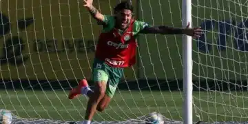 Palmeiras, Verdão, Atlético-GO, Botafogo;