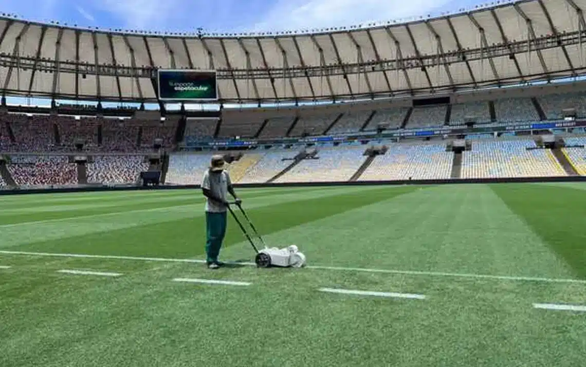 decisão, finalíssima;