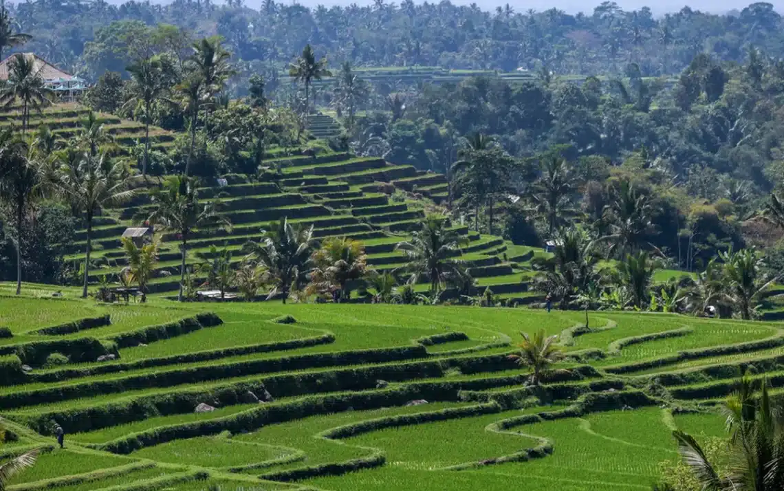 Patrimônio, Mudanças Climáticas, Paisagens Naturais;