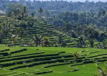 Patrimônio, Mudanças Climáticas, Paisagens Naturais;