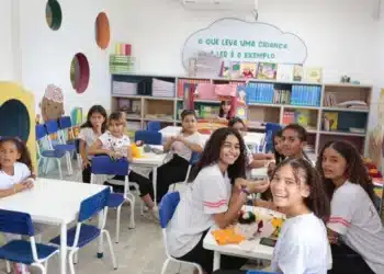 ensino, aprendizagem, formação';