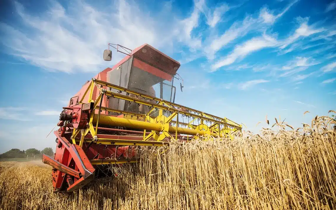 agronegócios, agroindústria;