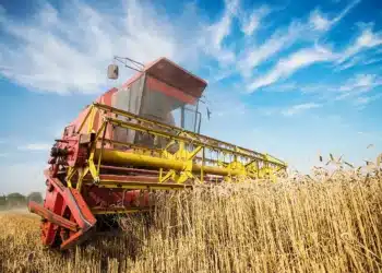 agronegócios, agroindústria;