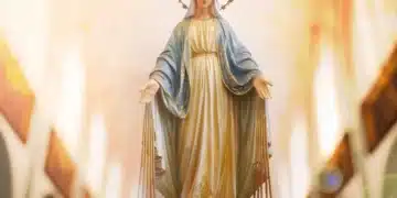 Senhora, Virgem, Maria, Imaculada