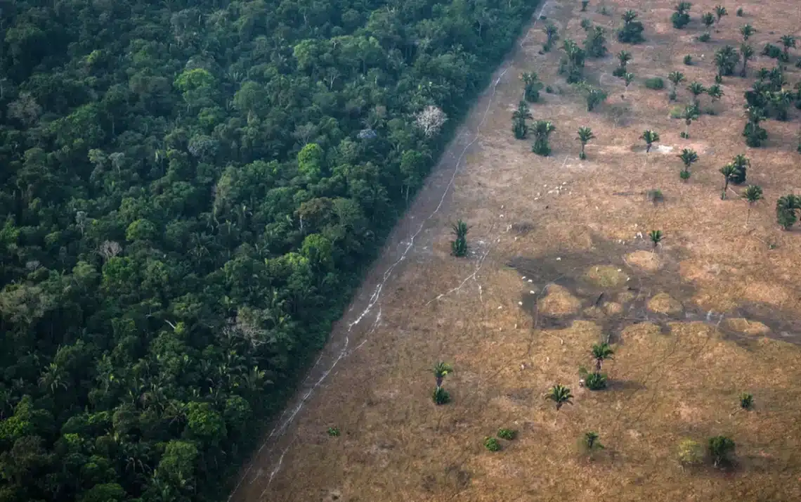 Lei, Ambiental, Direito;