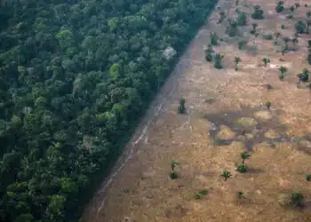 Lei, Ambiental, Direito;