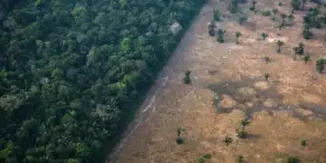 Lei, Ambiental, Direito;