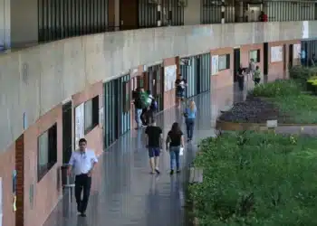 Educação, Superior, Ensino, Pública;