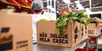 Mercado, Diferente, assinatura, alimentos, orgânicos;