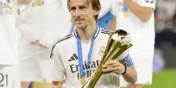 conquistas, campeões, vencedor