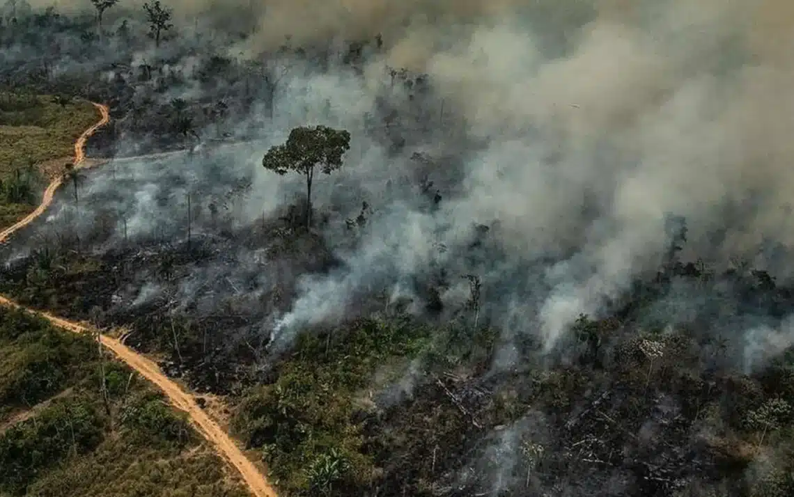 fenômenos extremos, climáticas, globais;