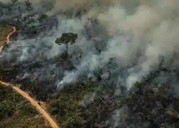 fenômenos extremos, climáticas, globais;