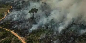 fenômenos extremos, climáticas, globais;