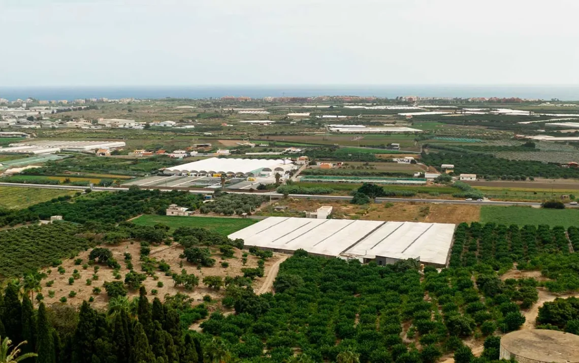 setor, agroindustrial, cadeia produtiva, mercado, imobiliário;