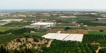 setor, agroindustrial, cadeia produtiva, mercado, imobiliário;