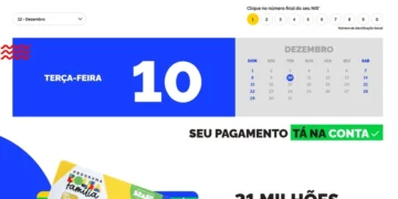 bolsa, assistência, social, programa, benefício;