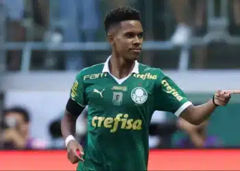 Palmeiras, Verdão, Alviceleste;