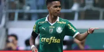 Palmeiras, Verdão, Alviceleste;