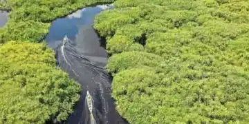 A bacia hidrográfica do Amazonas compreende terras de vários países da América do Sul (Peru, Colômbia, Equador, Venezuela, Guiana, Suriname, Bolívia e Brasil). É a maior bacia de regime misto (pluvial e niveal) do mundo. Foto: Barkah Wibowo / Unsplash / Flipar - Todos os direitos: @ Terra